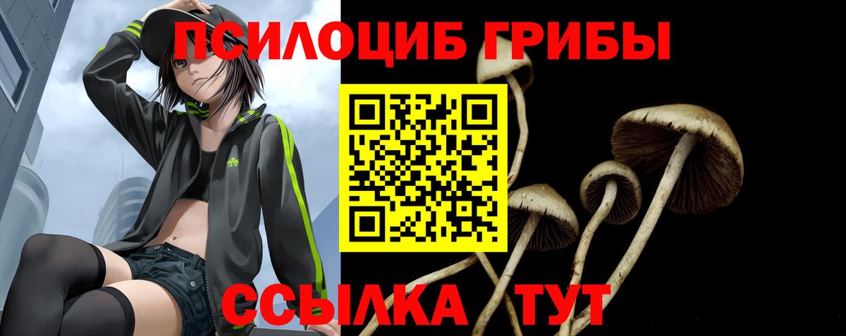 Галлюциногенные грибы Cubensis Алексин